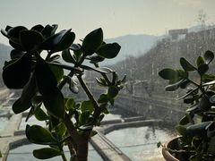 -天源渔港农庄