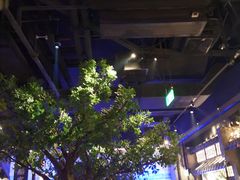 大堂-绿茶餐厅(乐峰广场店)