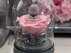 -ROSEONLY诺誓(沈阳万象城店)