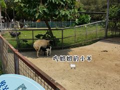 -东莞香市动物园