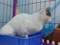 -达爱动物医院·犬猫分区·CT·复杂眼科(远洋山水分院)