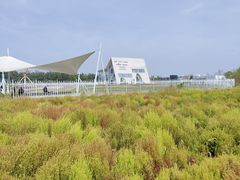 -天津东丽湖风景区