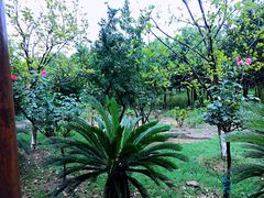 -呼吸森林·生态农庄农家乐私房菜