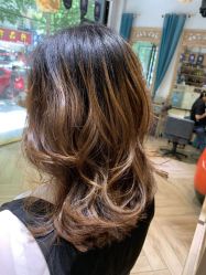 -渼树MSUTREE连锁沙龙