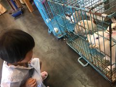 -呼吸森林·生态农庄农家乐私房菜