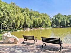 -泰丰公园