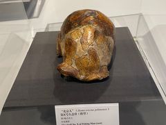 -北京周口店北京人遗址博物馆