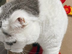 -麦当劳(展览路店)