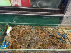 水产区-飞尝蚝·顺德菜·鱼生(顺德总店)