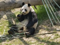 -宁波野生动物园