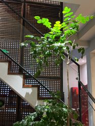 -香秀空间科技抗衰·美容中心