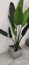 -D.z Salon 无痕接发潮店