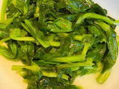 清炒豌豆尖-一坐一忘云南菜(三里屯店)