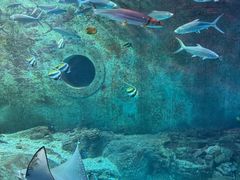 -大连圣亚海洋世界