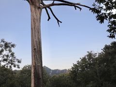 -楠溪江风景名胜区