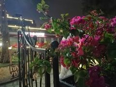 -音乐广场
