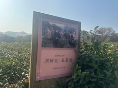 -中国茶叶博物馆(双峰馆区)