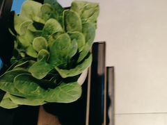 -辣伍鲜毛肚老火锅(元一店)