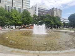-大通公园