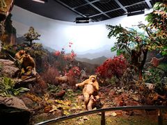 -陕西自然博物馆