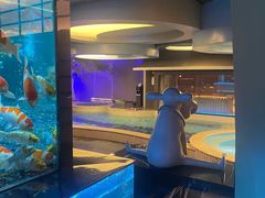 -碧涛阁·泡泡海洋·汤泉洗浴(王府花园店)