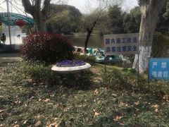 -太子山公园(园东路)