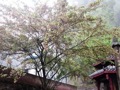 -凤栖山