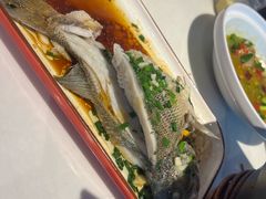 -春天里餐厅(西田城店)