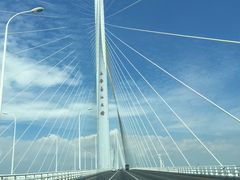 -崇明东平国家森林公园烧烤房车露营地