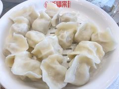 酸菜肉水饺-添福来墨鱼饺子 · 海鲜东北菜(大连星海·黄浦路店)