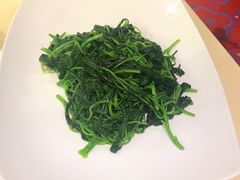 清炒苋菜-镛记酒家
