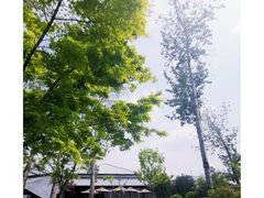 -禧宴Joyous Restaurant(禧园店)