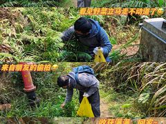 -南屏观音庙