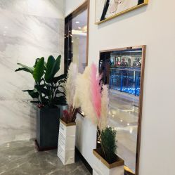 -CD Hair salon