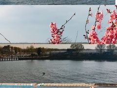 -卧龙湖