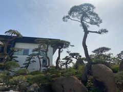 -罗红摄影艺术馆