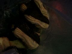 android_upload_pic-康乃馨糕饼店(永安道店)