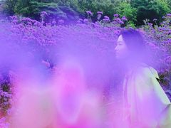 -东海半边山旅游度假区