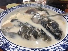 -全乐鱼馆·淳牌有机鱼直营店