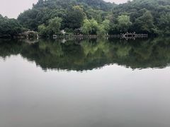 -杭州半山国家森林公园