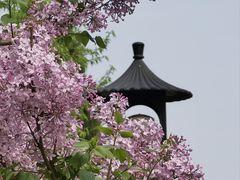 -天坛公园