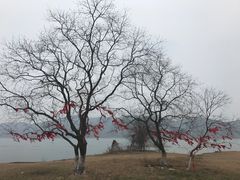 -洈水景区