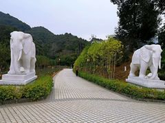 -韶关经律论国际酒店温泉