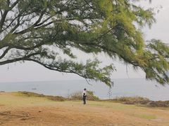-漳州滨海火山岛自然生态风景区
