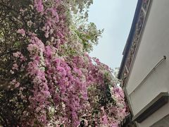 -深圳国际园林花卉博览园