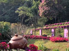 -广州市白云山风景名胜区