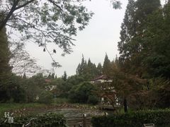 -上海怡沁园度假酒店