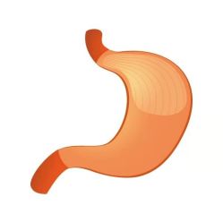 -姜美堂·蒸姜除湿の纤体美颜馆