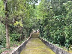 -阳台山森林公园