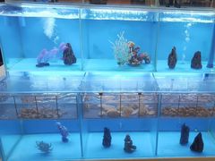 -怡咖啡·自助餐·西安香格里拉